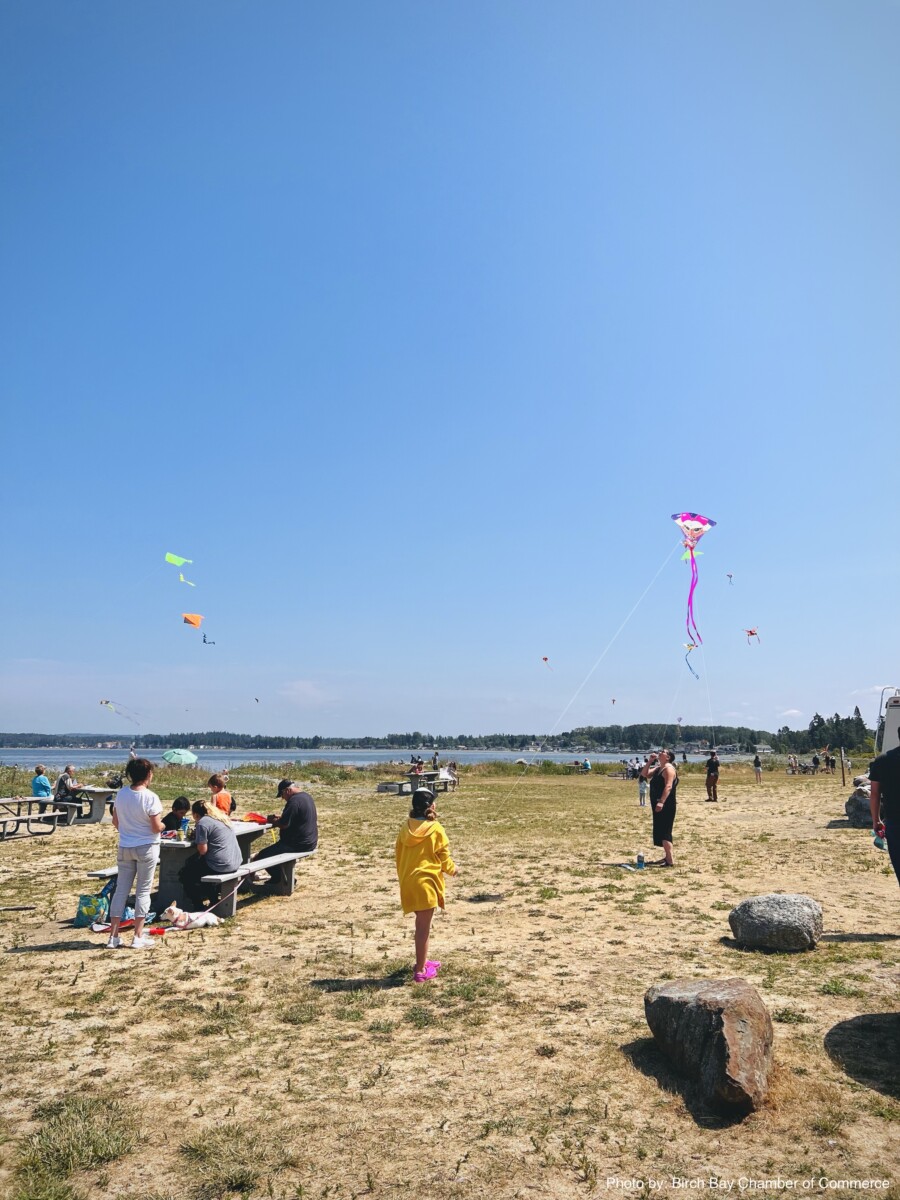 Birch Bay Kite Festival Visit Birch Bay