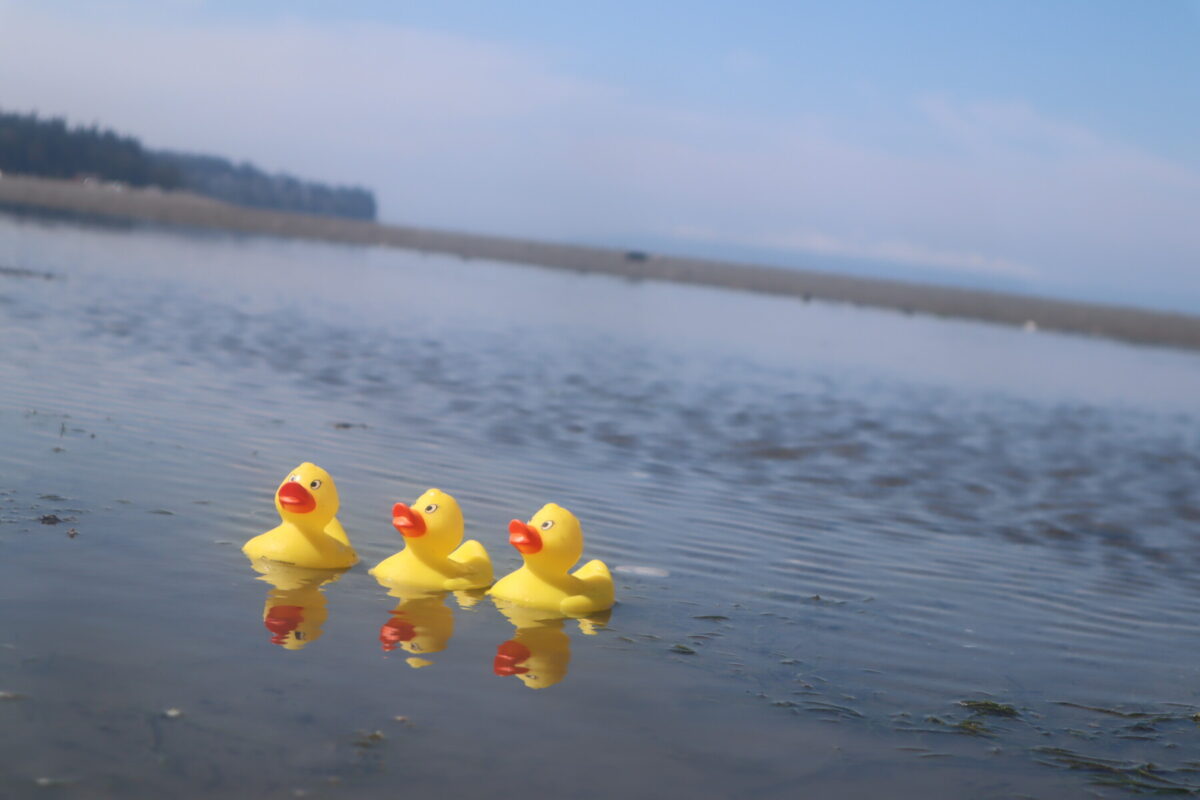 Visit Birch Bay