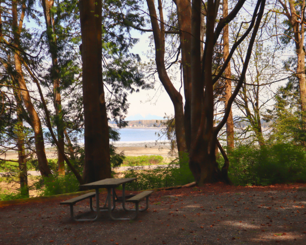 Visit Birch Bay